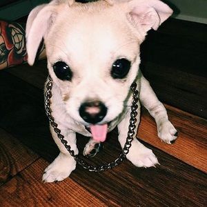 Meet your Posher, Jayson